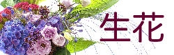フレッシュフラワー,生花,写真,画像
